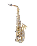Alto Saxophone R584588