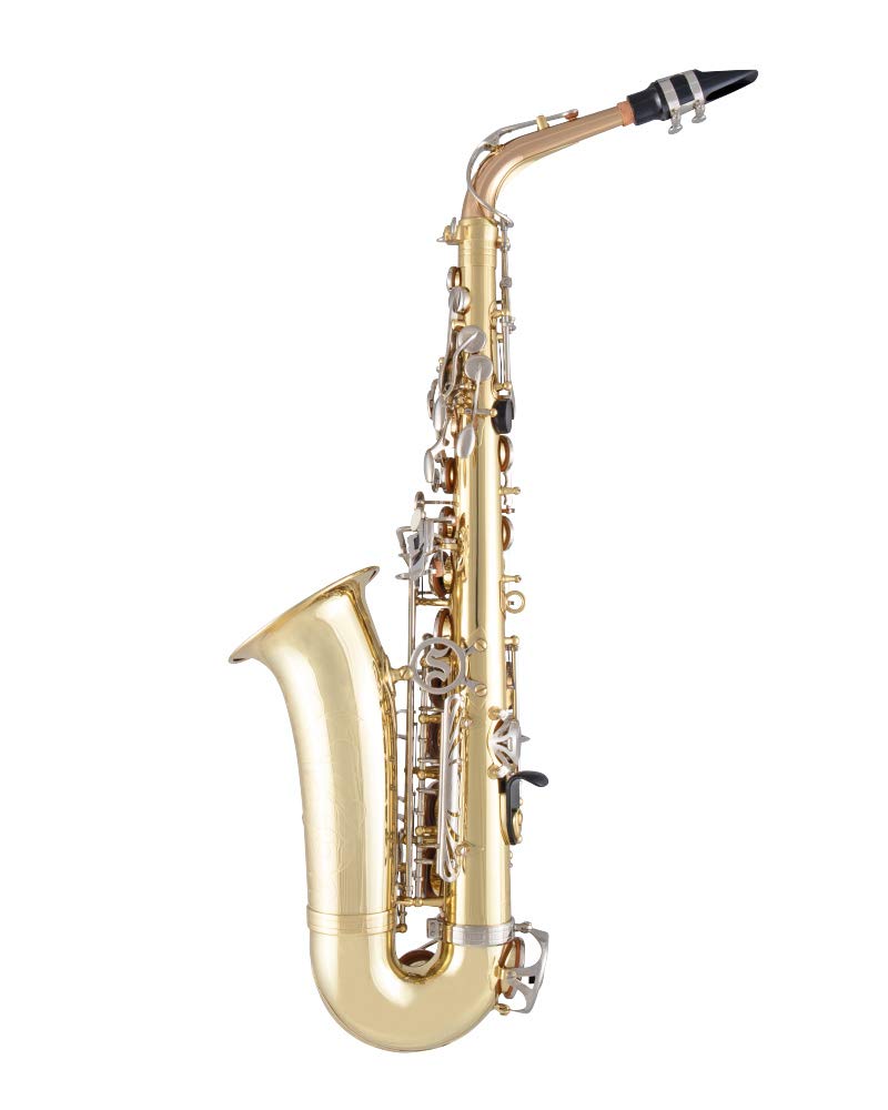 Alto Saxophone R584588