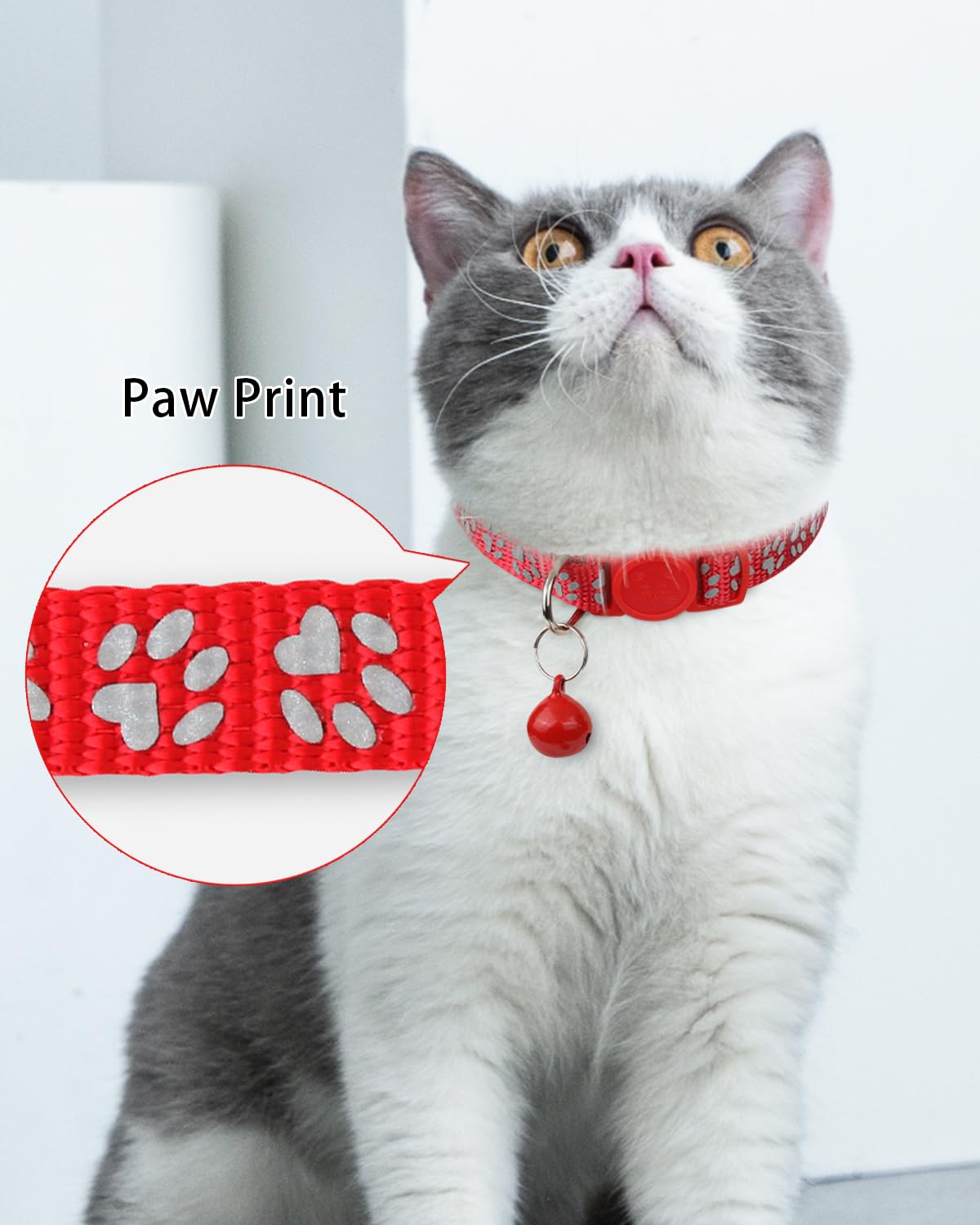 Personalized Cat Collar with Name Tag & Bell K82362