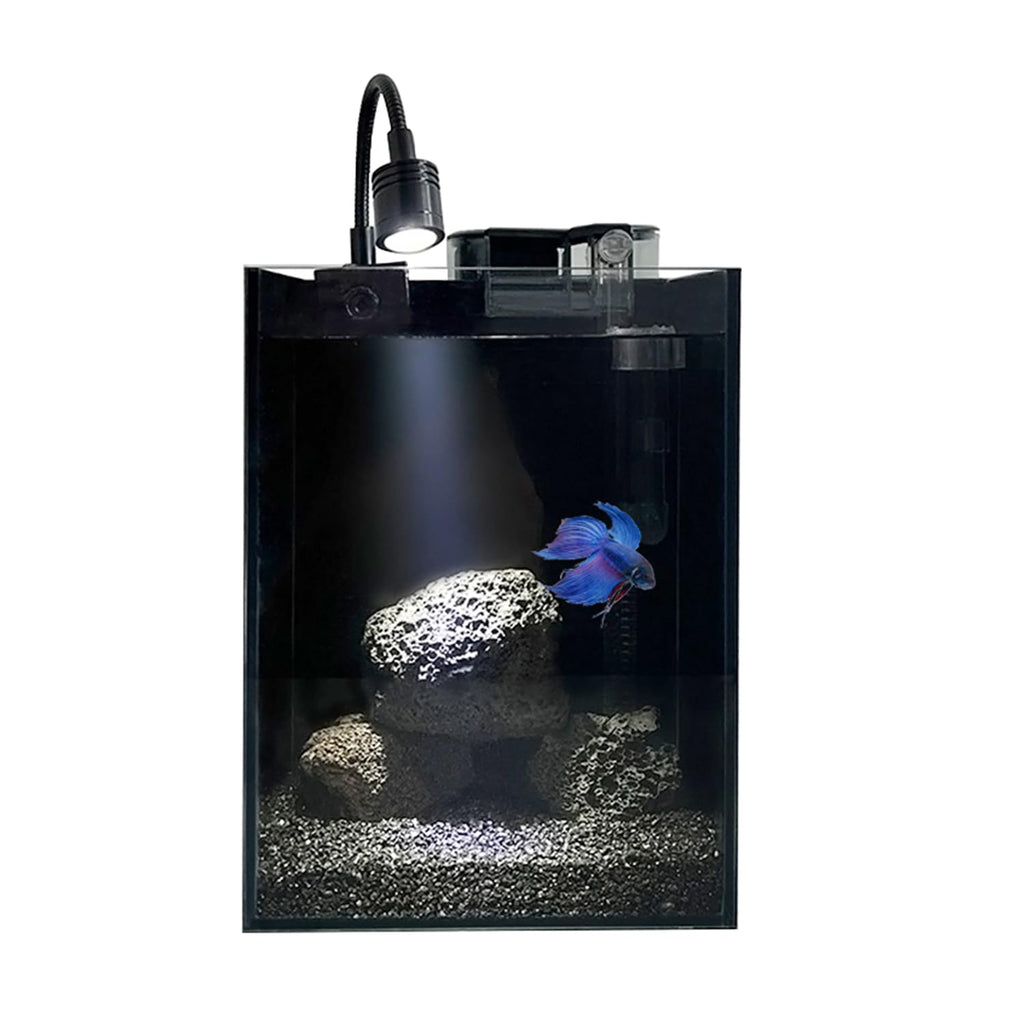 1.5 Gallon Glass Fish Tank Kit with Filter and LED Light O404