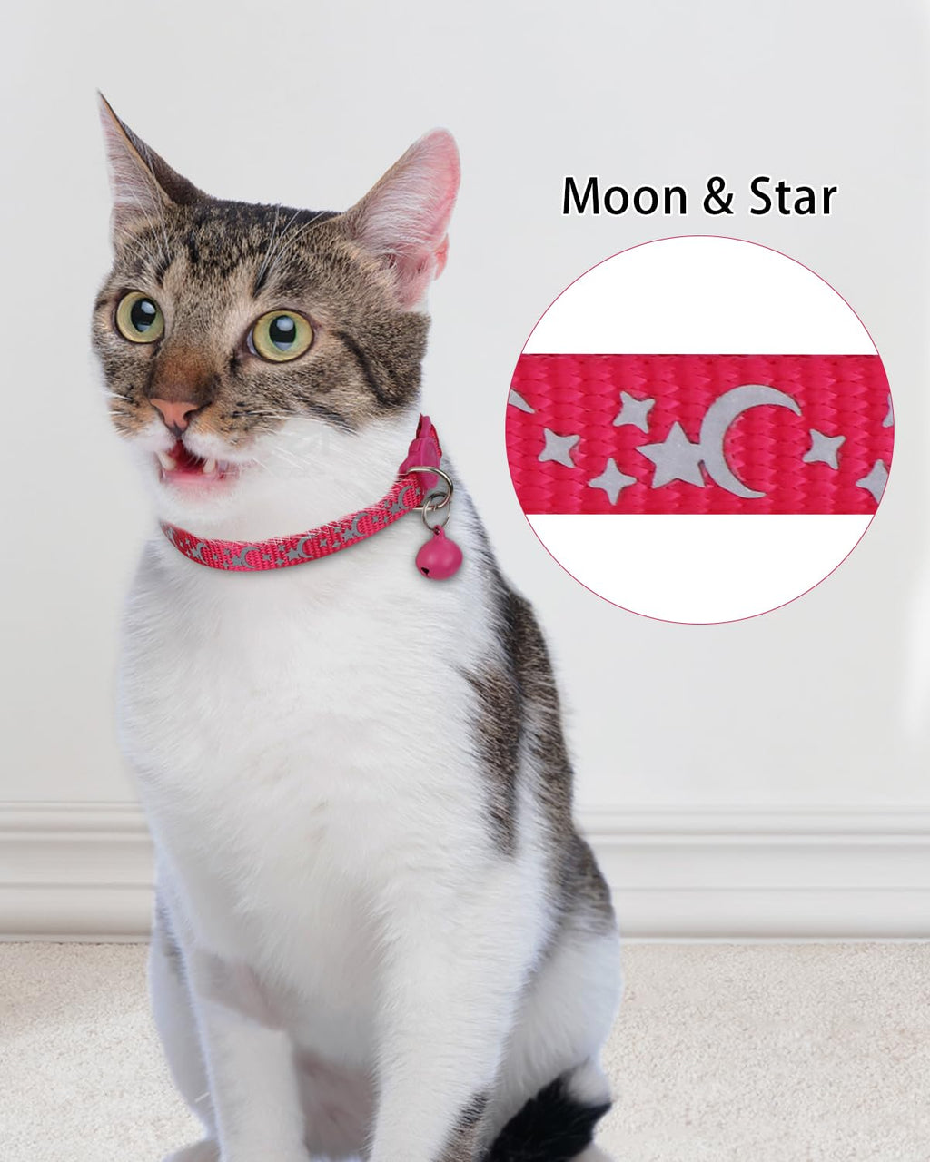 Personalized Cat Collar with Name Tag & Bell K82362