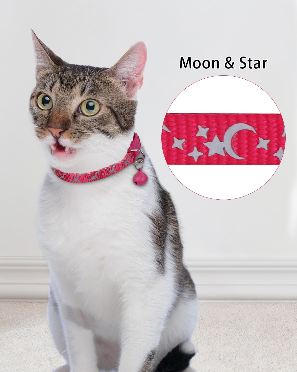 Personalized Cat Collar with Name Tag & Bell K82362