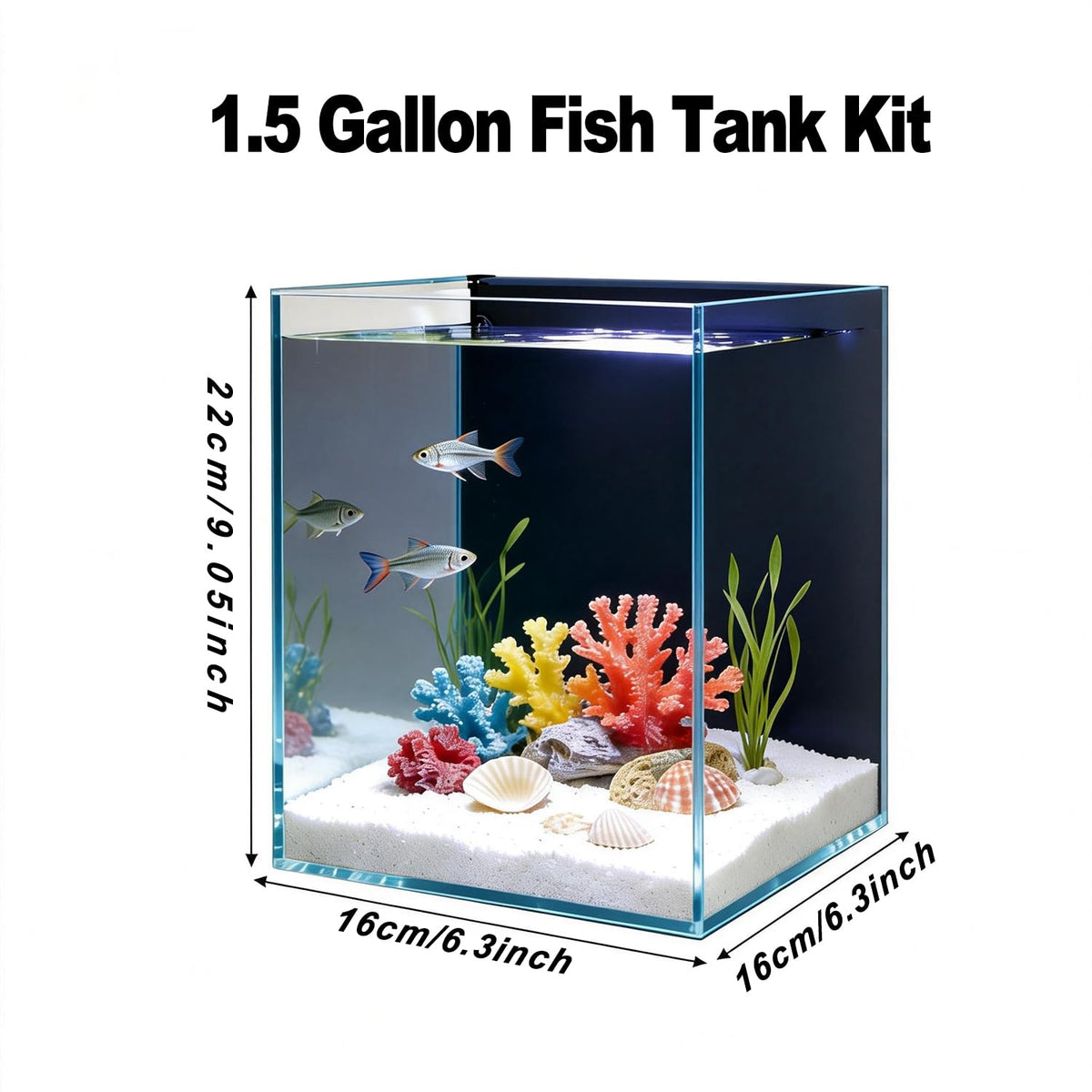1.5 Gallon Glass Fish Tank Kit with Filter and LED Light O404