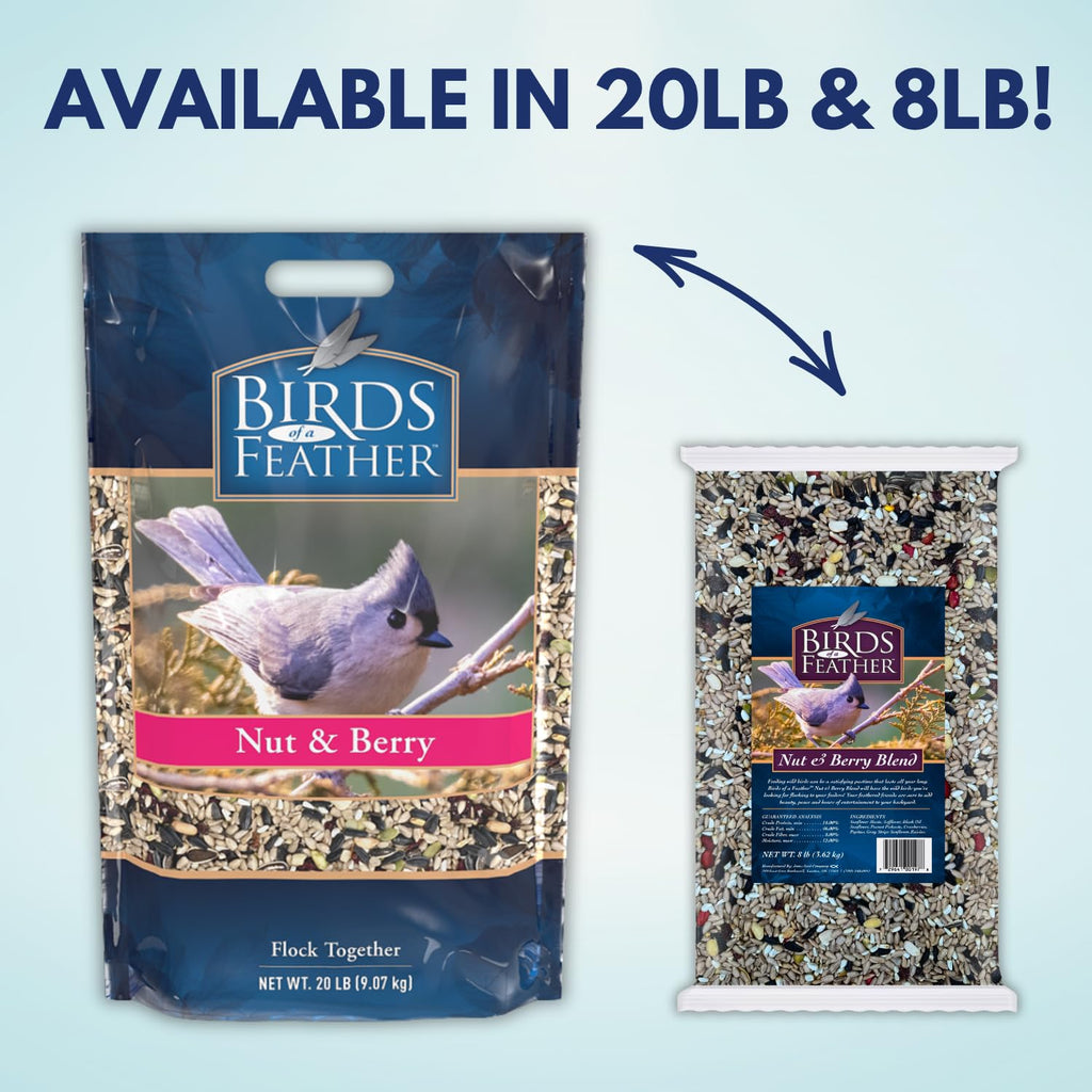 Nut and Berry Bird Seed S532
