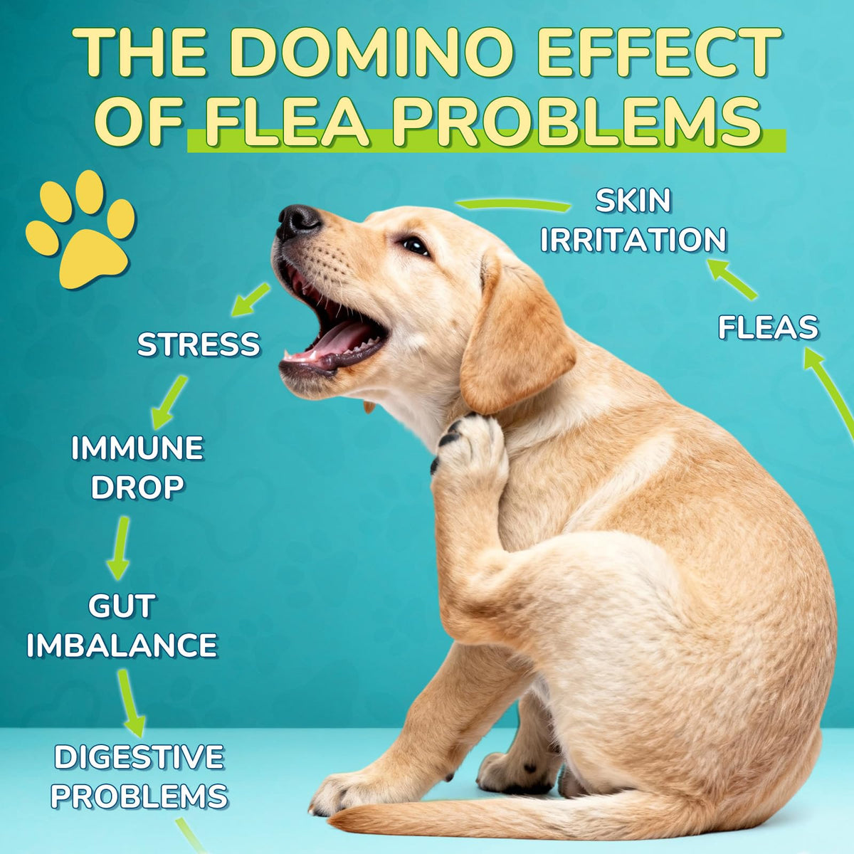 Flea and Tick Prevention Drops with Probiotics H881