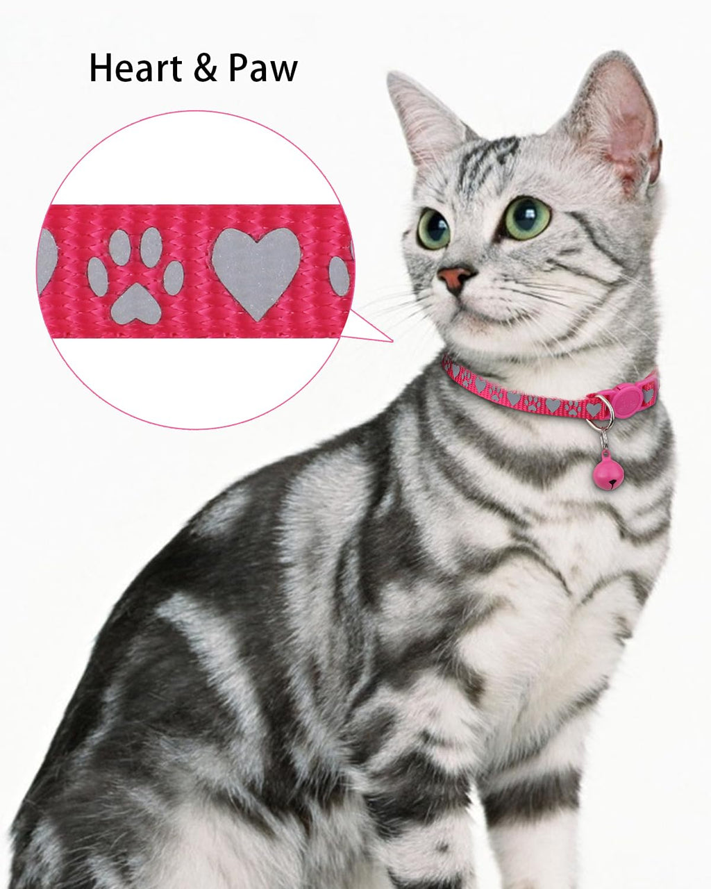 Personalized Cat Collar with Name Tag & Bell K82362