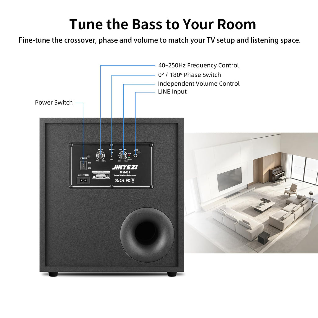 10" Powered Wireless Subwoofer R28256