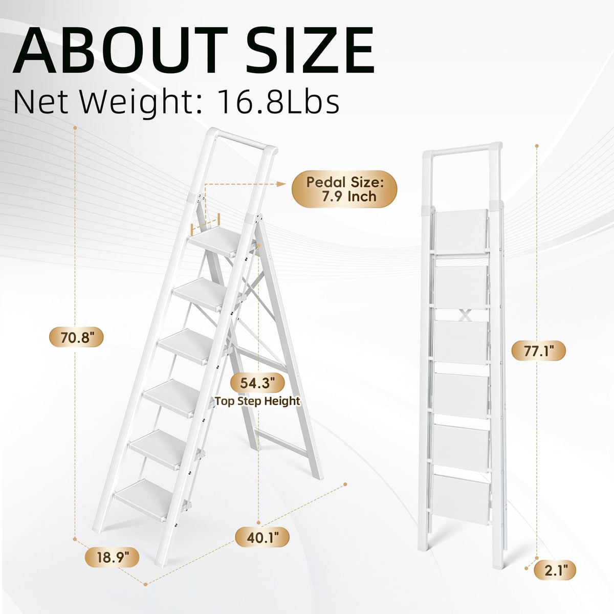 6 Step Ladder B6338