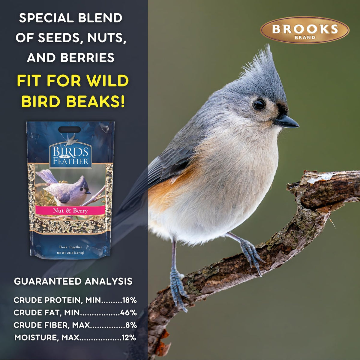Nut and Berry Bird Seed S532