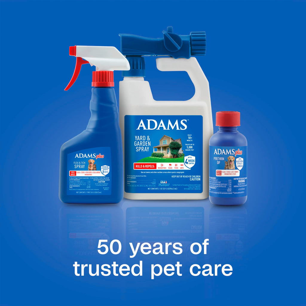 Plus Pyrethrin Flea Dip For Dogs and Cats 4 Fl oz T15702