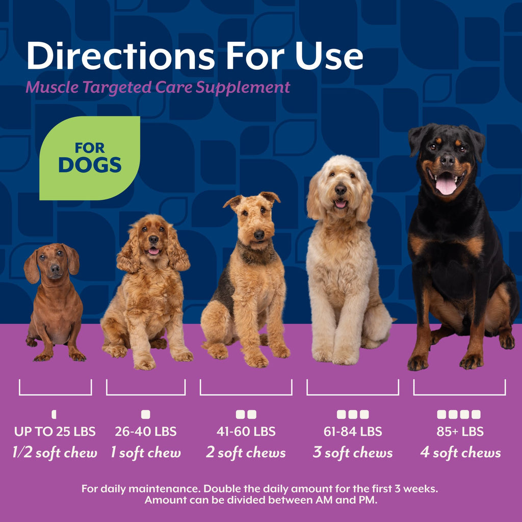 Hip & Joint Supplement for Dogs 60 Ct F5932