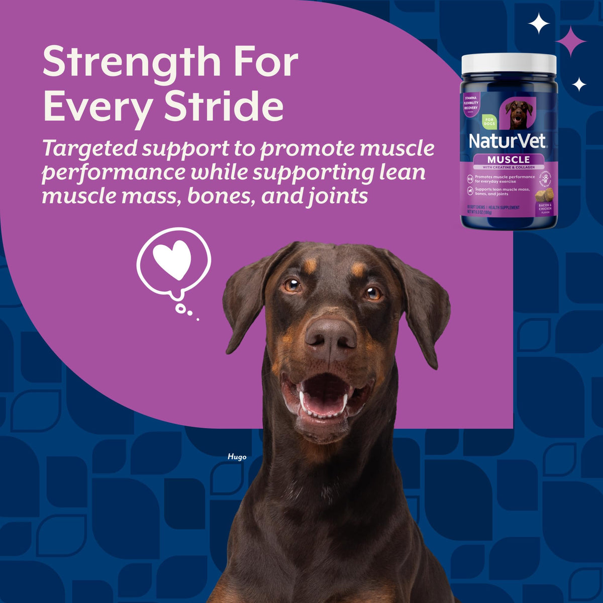 Hip & Joint Supplement for Dogs 60 Ct F5932