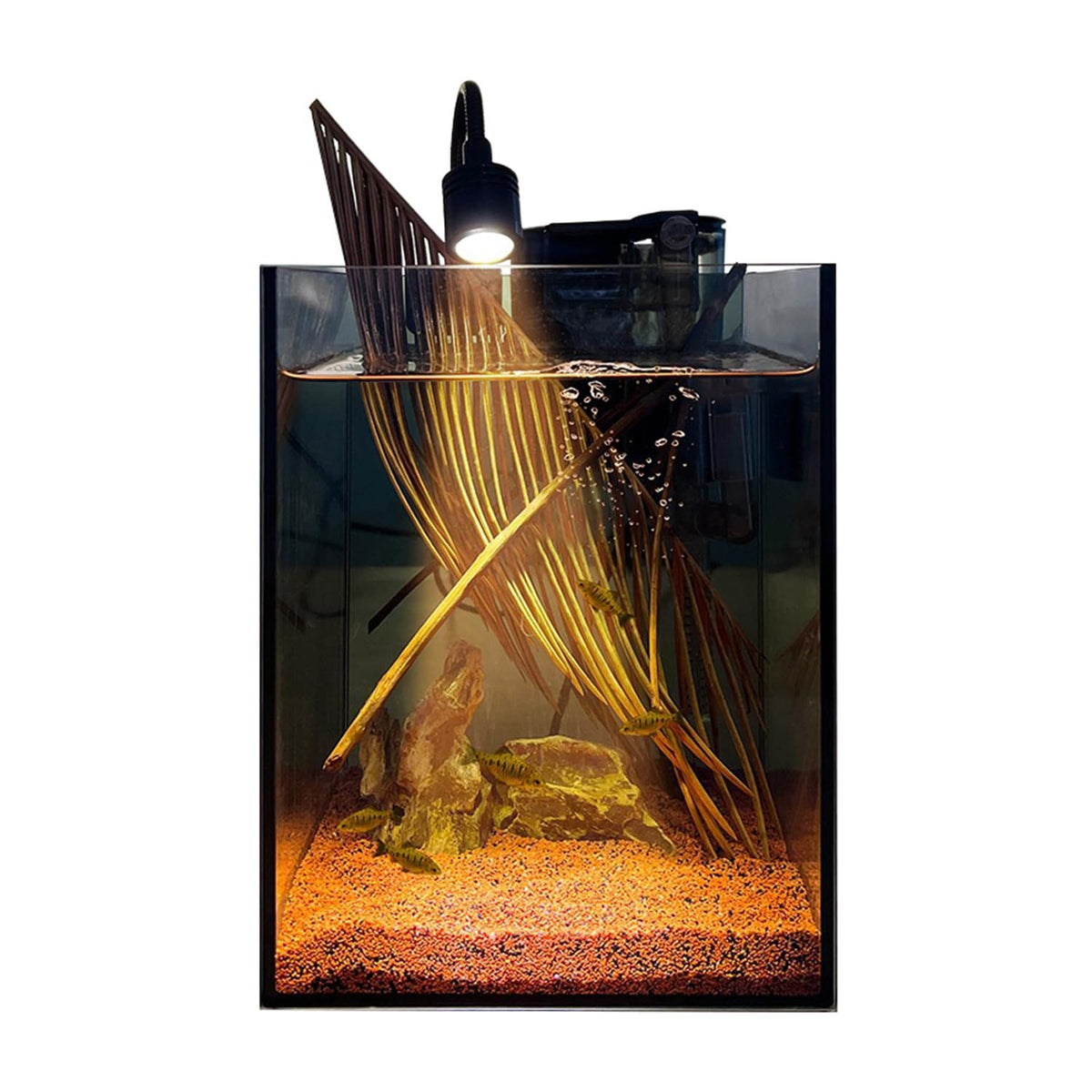 1.5 Gallon Glass Fish Tank Kit with Filter and LED Light O404