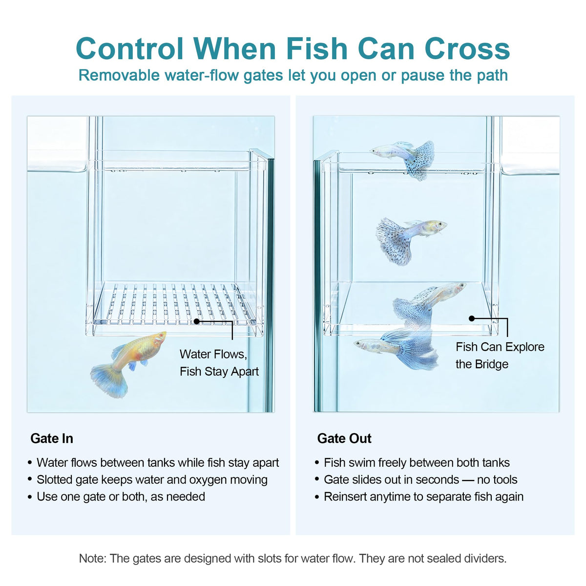 Aquarium Bridge Fish Tank Kit N5438