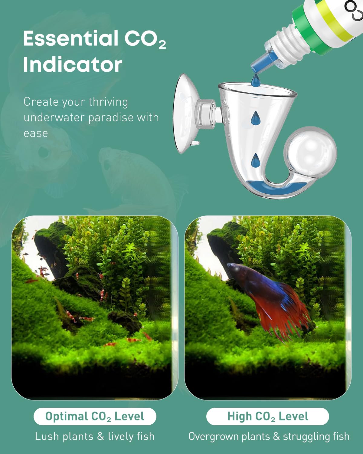 Glass CO2 Drop Checker for Aquarium A270