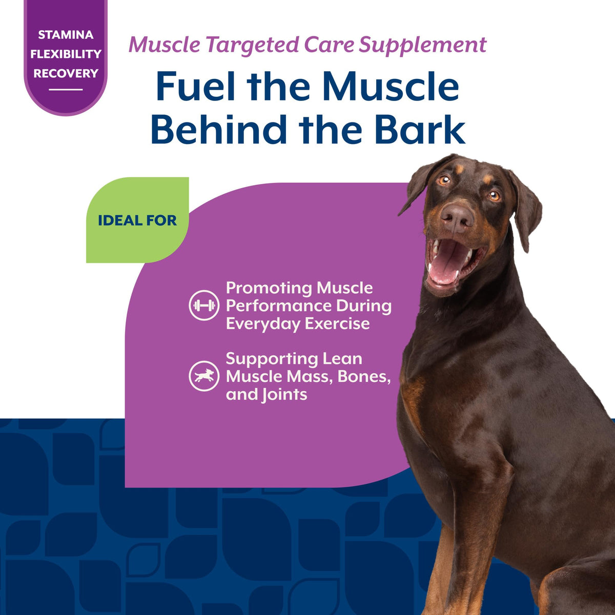 Hip & Joint Supplement for Dogs 60 Ct F5932