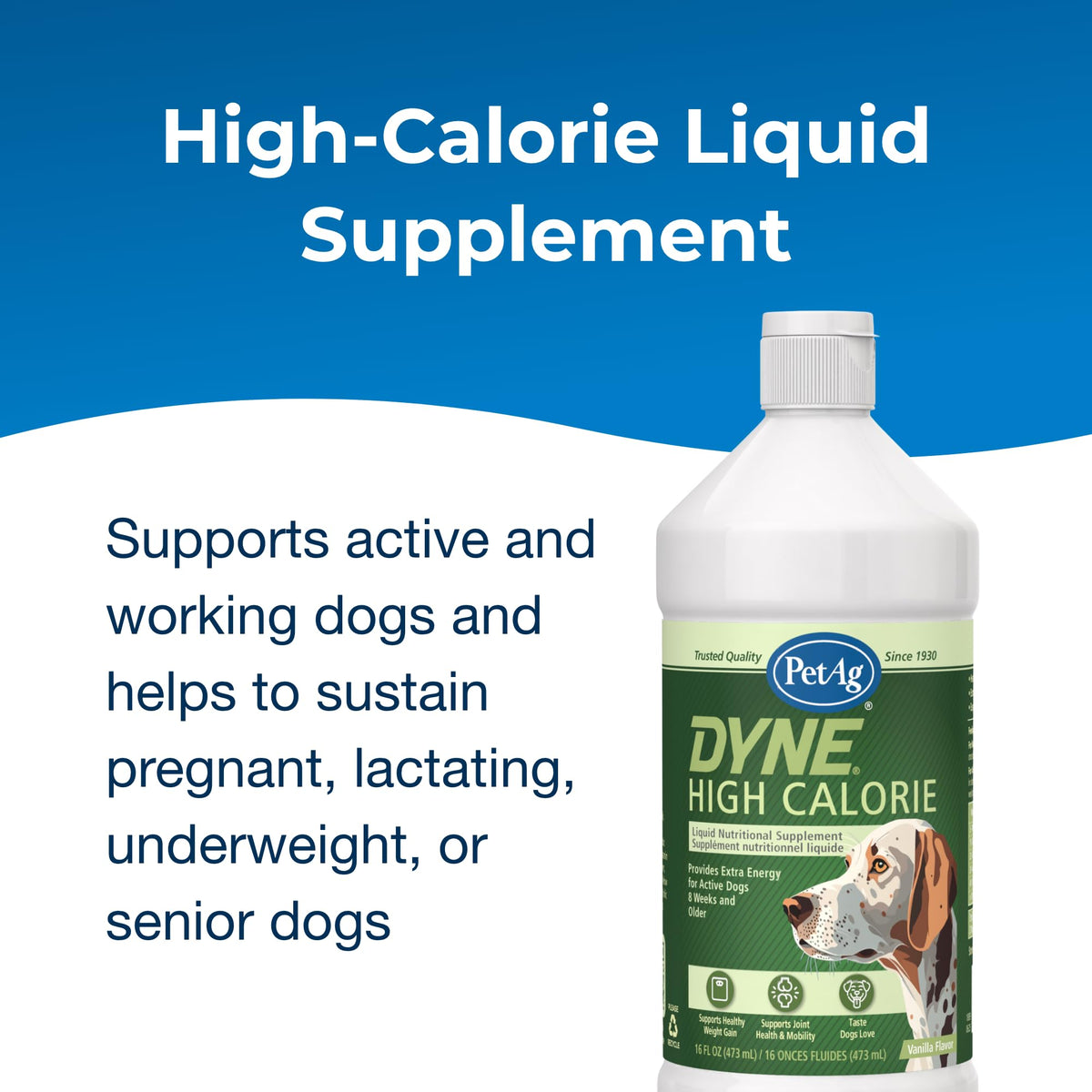 High Calorie Liquid Nutritional Supplement for Dogs & Puppies 16 oz V845127