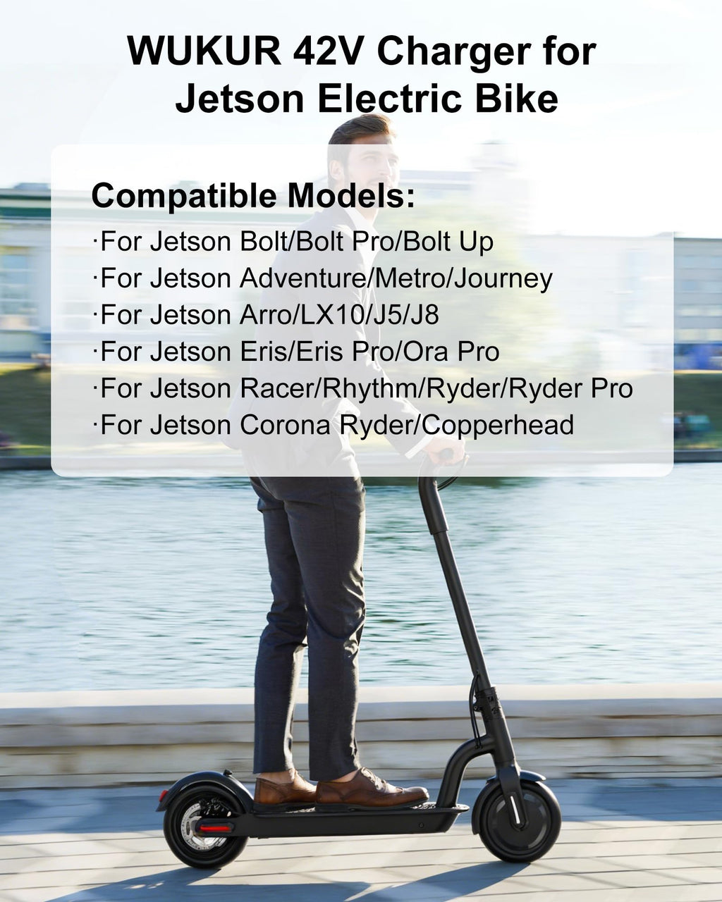 42V Charger for Electric Bike and Scooter A4981