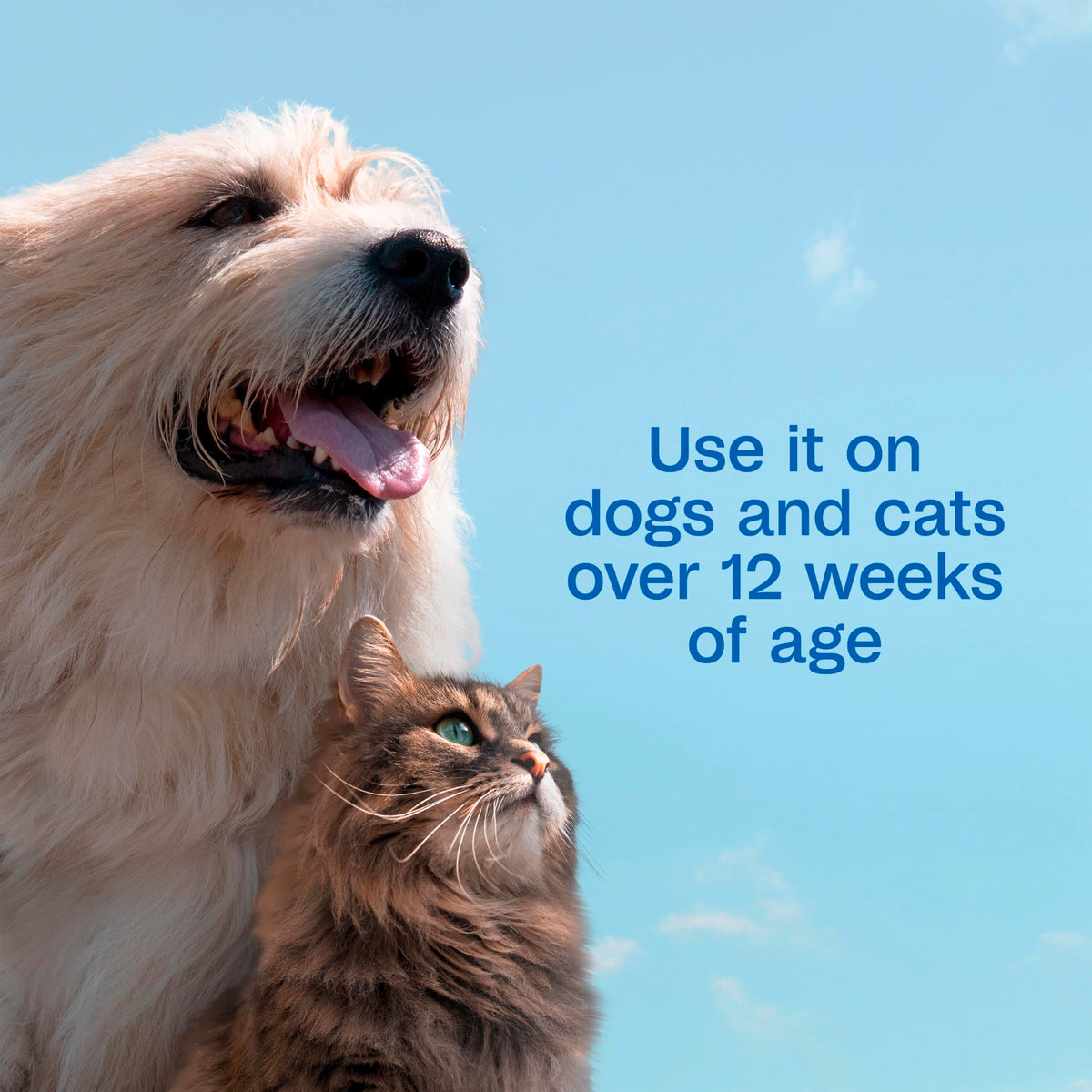 Plus Pyrethrin Flea Dip For Dogs and Cats 4 Fl oz T15702