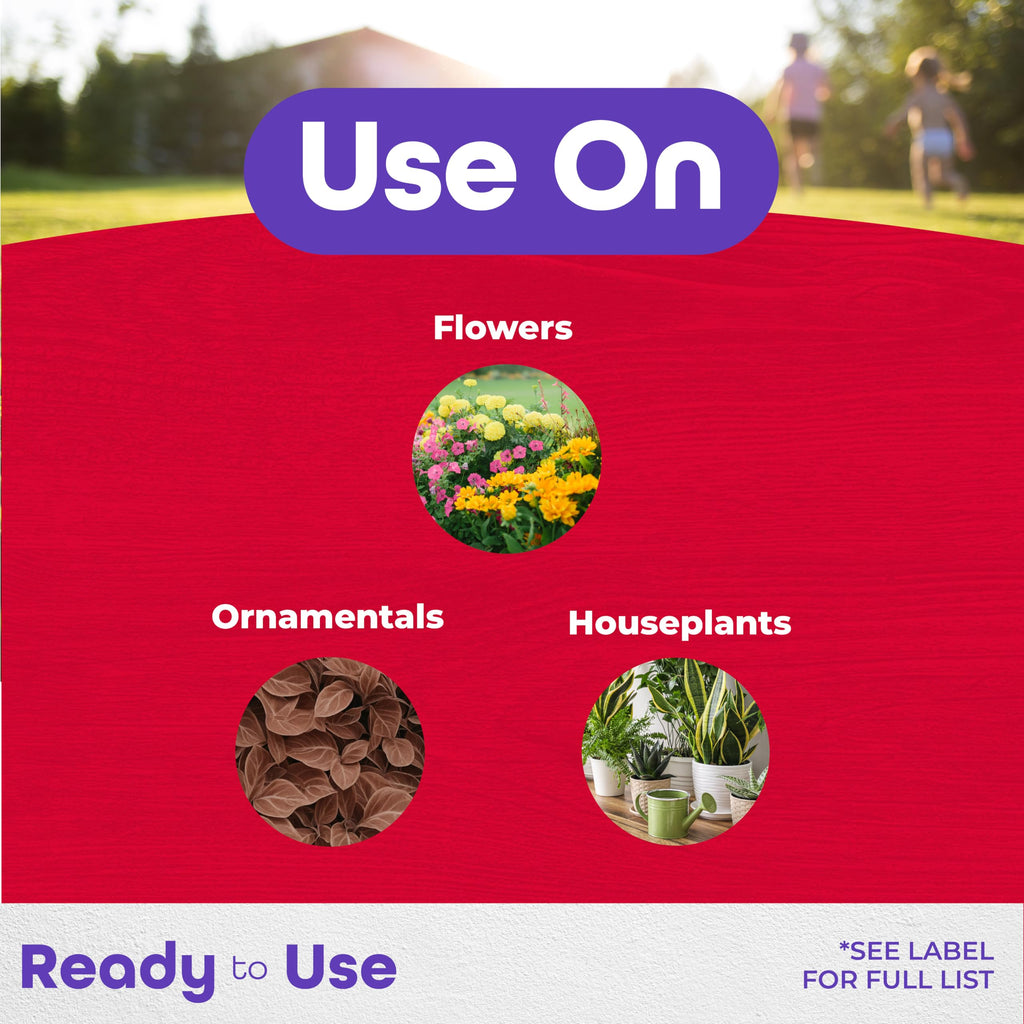 Insect Control Systemic Granules 4 lbs P541214