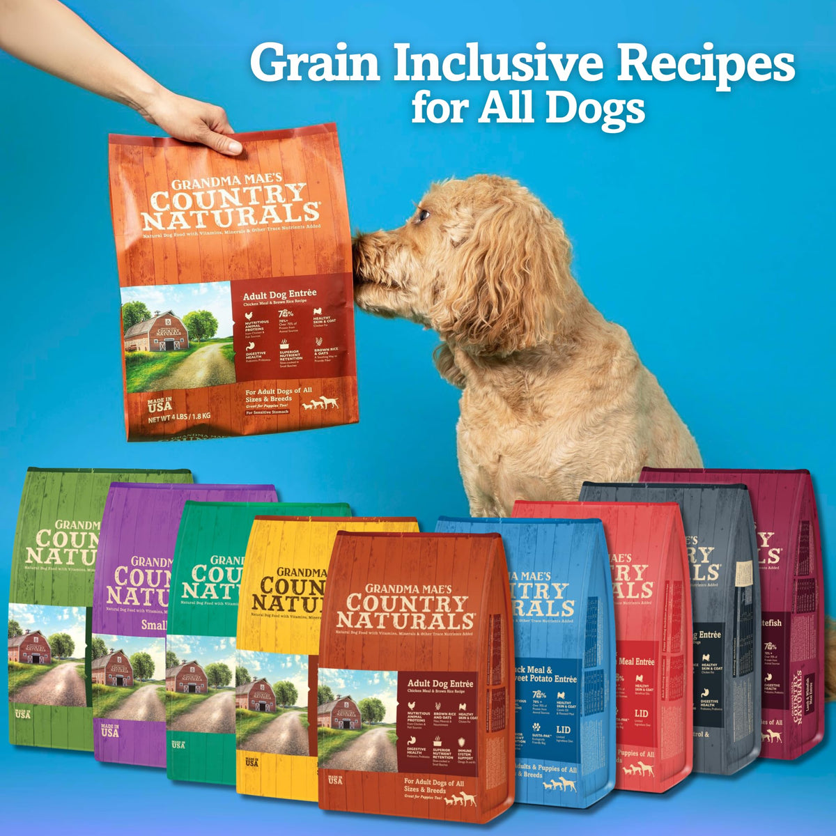 Chicken & Brown Rice Dry Dog Food 12 LB Bag V300536