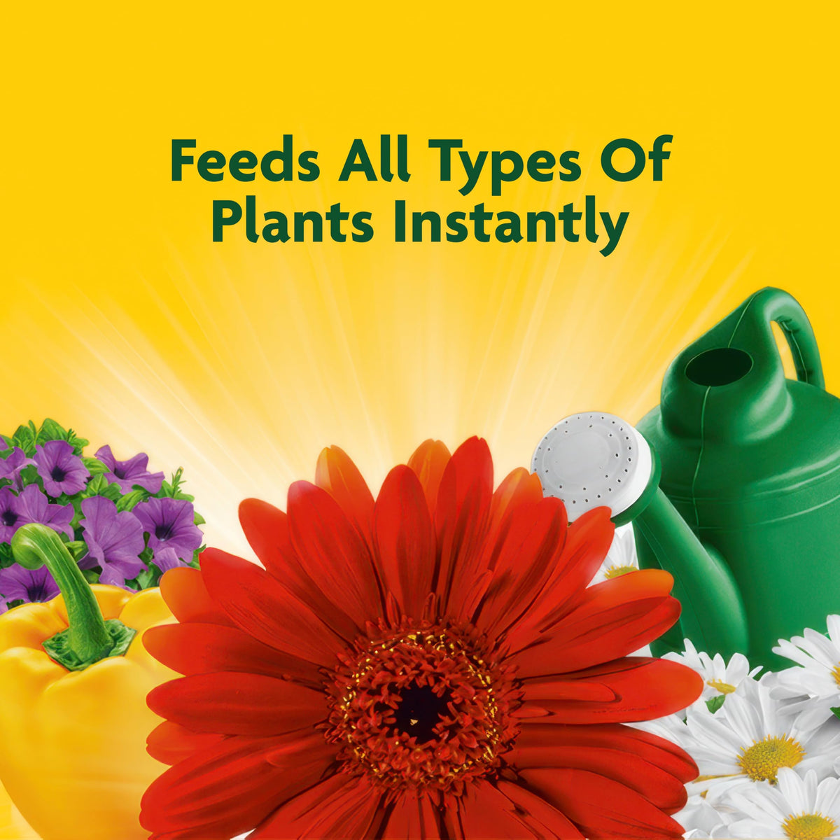 Liquid All Purpose Plant Food Concentrate 32 oz U7933