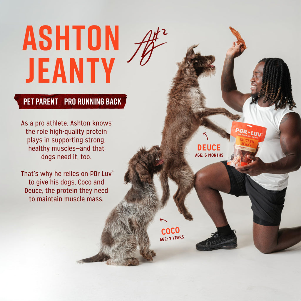Chicken Jerky Dog Treats, 16 Ounces C40331
