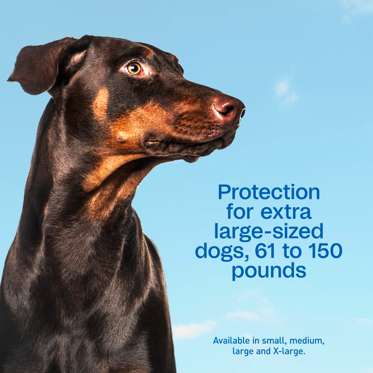 Flea & Tick Prevention Spot On 3 Pack H445