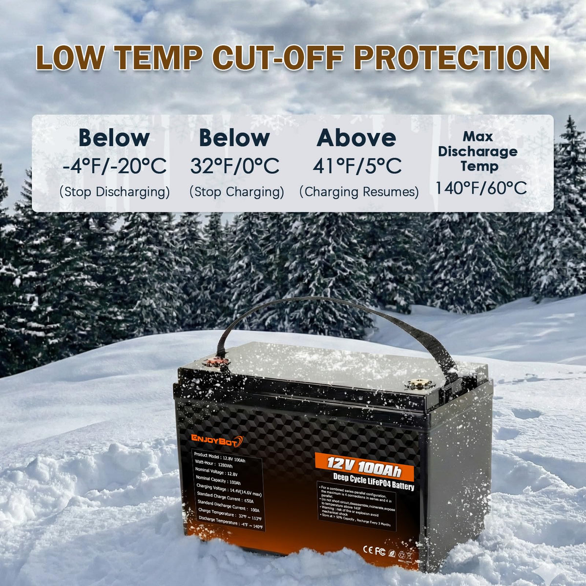 12V 100Ah LiFePO4 Lithium Battery, 100A BMS Deep Cycle Battery with Low Temp Cut Off, 2 Pack U3177