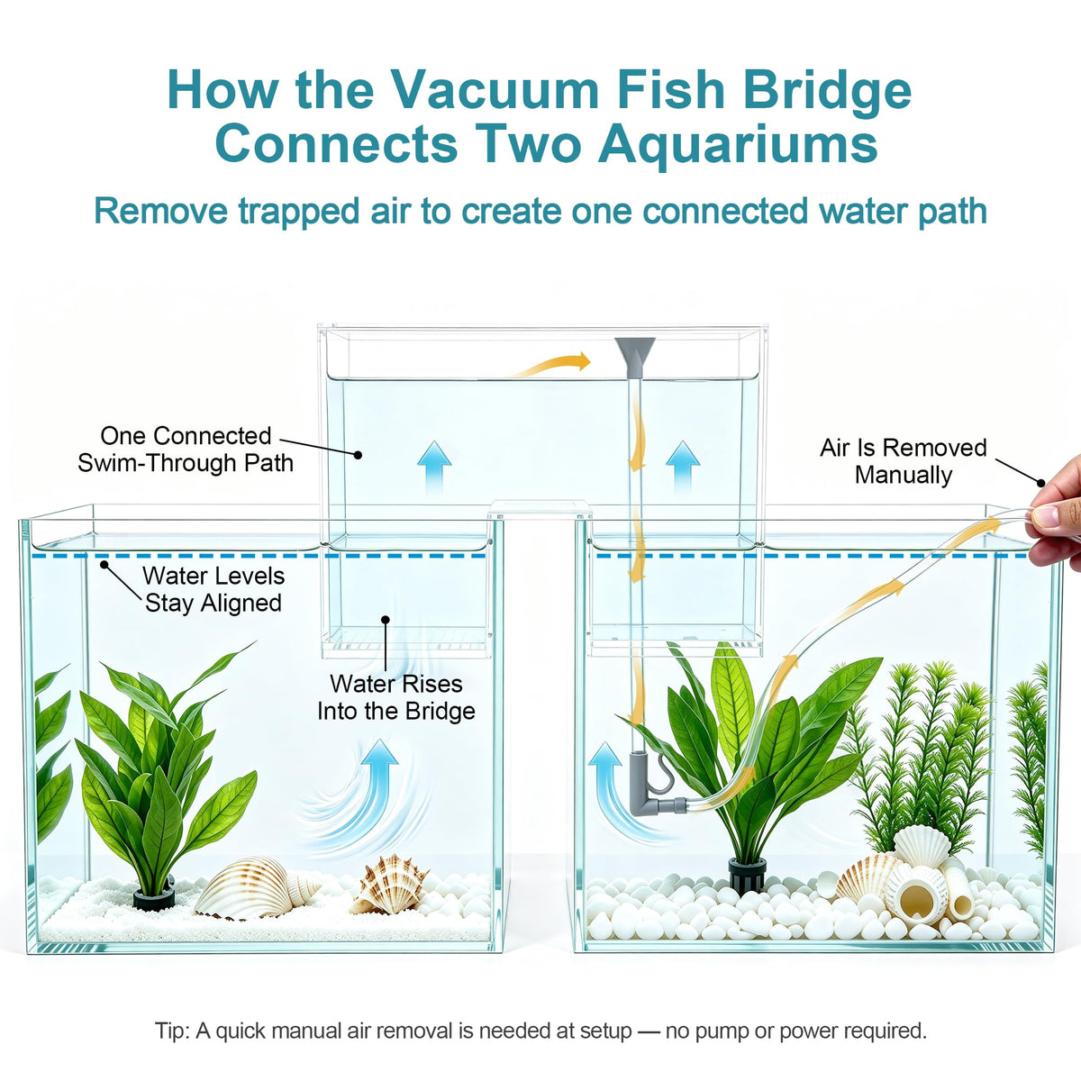 Aquarium Bridge Fish Tank Kit N5438