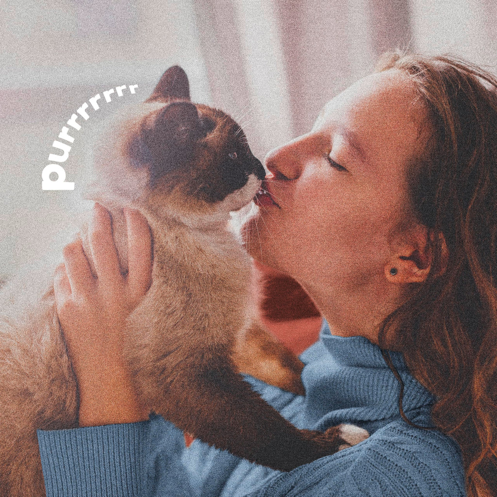Plus Pyrethrin Flea Dip For Dogs and Cats 4 Fl oz T15702