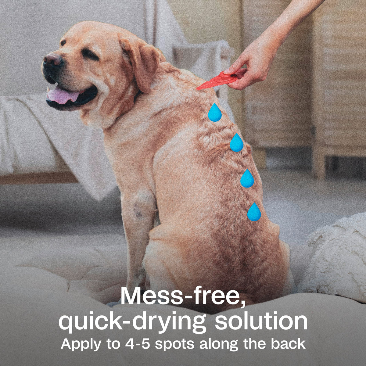 Flea & Tick Prevention Spot On 3 Pack H445